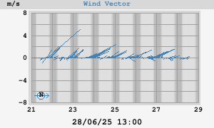 Wind Vector